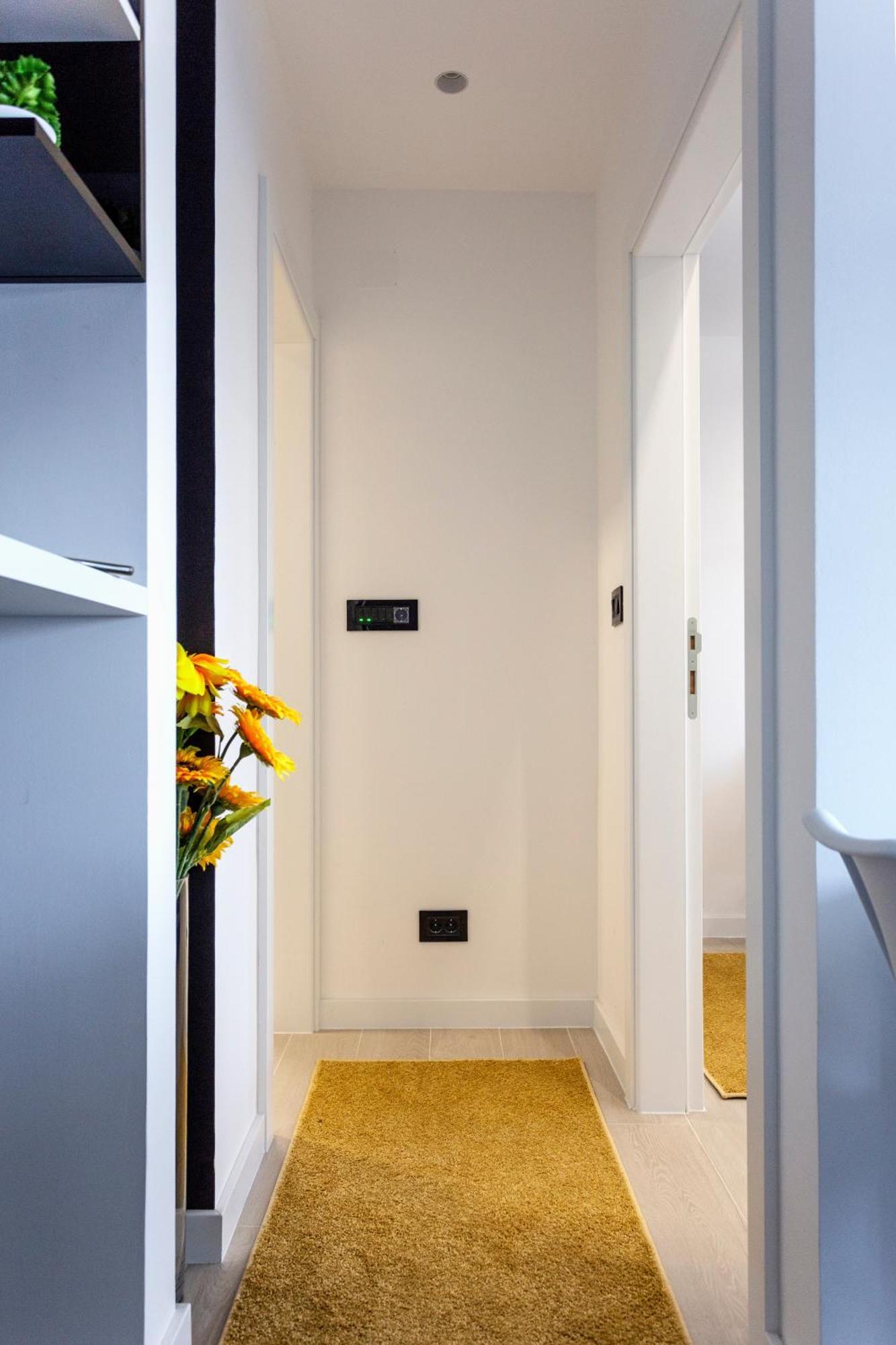 Park Apartment Novi Sad Bagian luar foto